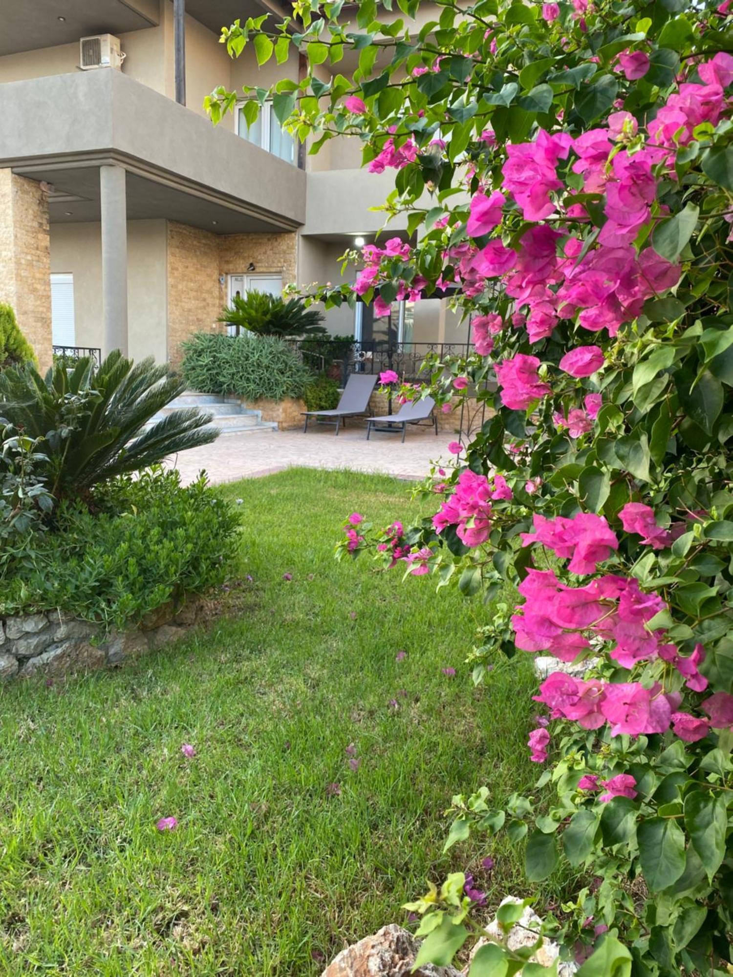 Eva'S Garden House Villa เอียลิซอส ภายนอก รูปภาพ